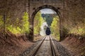 A historic steam train driving under a stone bridge