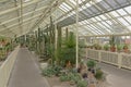 Greenhouse with cacti and succulents in dublin botanic gardens