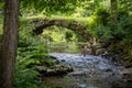 Historic stone bridge over stream in summer forest Royalty Free Stock Photo
