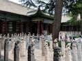 Historic stone horse posts Stele Forest or Beilin Museum