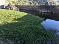 Historic Sutro Baths San Francisco 1 Royalty Free Stock Photo