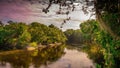 Historic Suwannee River Early Morning Ground Fog Royalty Free Stock Photo