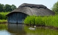 Historic thatched boathouse amongst the verdant reeds at Hickling Broad in Stalham, east of Norwich, in Norfolk UK.