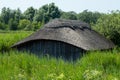 Historic thatched boathouse amongst the verdant reeds at Hickling Broad in Stalham, east of Norwich, in Norfolk UK.