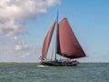 Historic tjalk charter ship sailing on Waddensea in the Netherlands Royalty Free Stock Photo