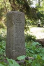 Historical cemetery, close-up of an old tombstone in the forest