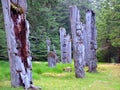 Historic Totem Poles, Ninstints, Haida Gwaii, Royalty Free Stock Photo
