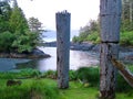 Historic Totem Poles, Ninstints, Haida Gwaii, Royalty Free Stock Photo