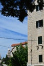 Historic Tower Among Urban Greens: Cityscape Symmetry