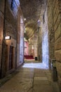 Historic underground corridor in the Colosseum Royalty Free Stock Photo
