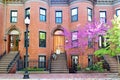 Historic Victorian Architecture in Boston with Pampers