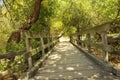 Historic Vintage Bridge Crossing