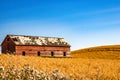 Abonded farm buildings on the prairies. Alberta,Canada Royalty Free Stock Photo