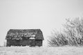 Abondoned farm buildings on a frosty morning. Alberta,Canada