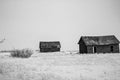 Abondoned farm buildings on a frosty morning. Alberta,Canada