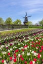 Historic Windmill in Holland, Michigan Royalty Free Stock Photo