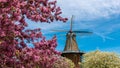 Historic Windmill island gardens in Holland, Michigan during springtime Royalty Free Stock Photo