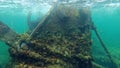 The historic wreck of Shark at Henrietta Rocks