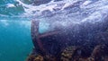 The historic wreck of Shark at Henrietta Rocks