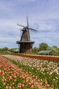 Historic 250 year old Dutch style mini Windmill at Windmill Island gardens in Holland, Michigan Royalty Free Stock Photo