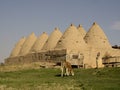 Historical and ancient Beehive houses in ÃÅ¾anlÃÂ±urfa,Turkey