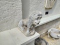 Historical Ancient Roman Lion