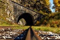 Historical archy tunnel at Transiberian railway in September