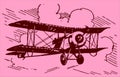 Historical biplane aircraft flying under a cloudy pink sky at sundown Royalty Free Stock Photo