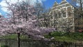 Otago University Archway Buildings and Cherry Blossoms