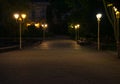 Historical building campus European medieval architecture empty street night square illuminated by lantern lights Royalty Free Stock Photo