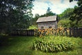 Historical Building Daylilies Royalty Free Stock Photo