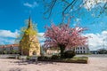 Historical buildings in the city Rostock, Germany