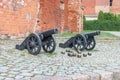 Historical cannon on wheels in Tczew, Poland