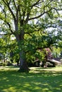 Historical Castle in the Village Bothmer, Lower Saxony