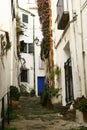 A paved street of CadaquÃ©s in Spain