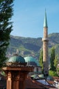 Historical fount and Mosque in Sarajevo