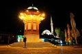 Historical fount in Sarajevo - Night scene