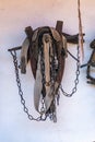 Historical harnesses for cattle hanging on the wall Royalty Free Stock Photo