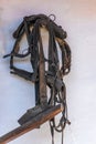 Historical horse harness hanging on the wall Royalty Free Stock Photo