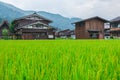 Historical Japanese Village - Shirakawago Royalty Free Stock Photo