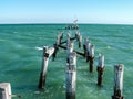 Historical Jetty at Port Germein South Australia Royalty Free Stock Photo