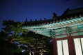 a historical korea palace at night. small statues at roof.