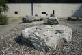 Geological finds from an open limestone quarry. RÃ¼dersdorf bei Berlin, Germany