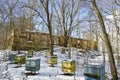 Historical manor estate ruins and old beehive group in winter Royalty Free Stock Photo