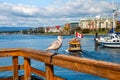 First nation house on posts above the water Royalty Free Stock Photo