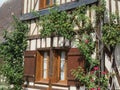 Historical Old Old Houses, amazing architecture, shutters opening, rambling rose