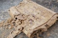 Historical paper manuscript in an ancient unknown language, spoiled by time and insects. Secret treasure concept