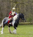 Historical Re-enactment of Roman Cavalry and Infantry soldiers at Northumberland, May 2012. Royalty Free Stock Photo