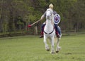 Historical Re-enactment of Roman Cavalry and Infantry soldiers at Northumberland, May 2012. Royalty Free Stock Photo