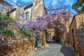 Historical street with blooming wisteria flowers, Orvieto, Italy